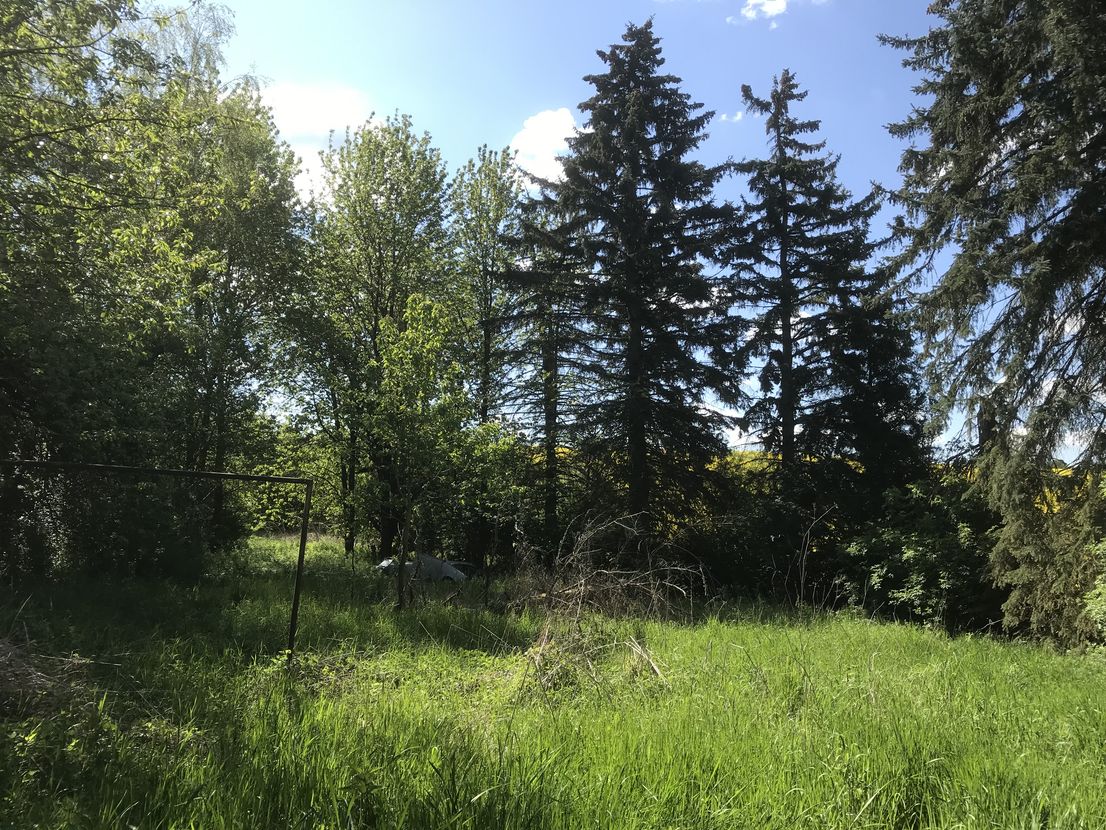 Naturbelassenes Grundstück inkl. Haus, Schuppen und Teich